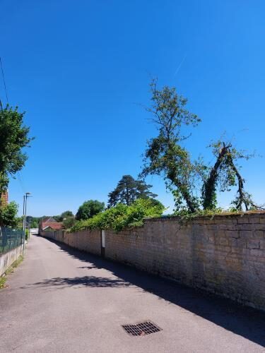 Vente Maxilly-sur-Saône