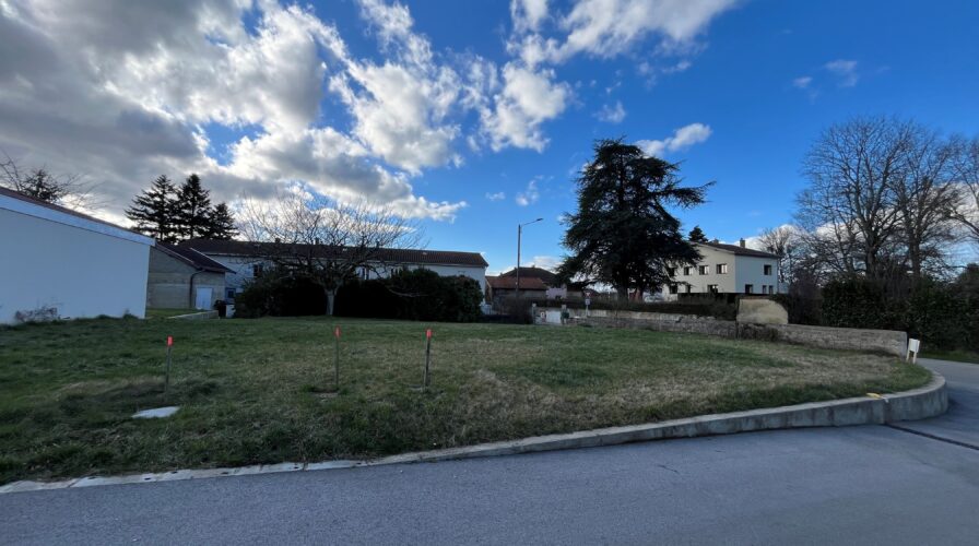 Vente Saint-André-sur-Vieux-Jonc
