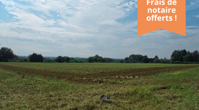 Vente Saint-Georges-de-Reneins