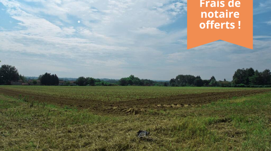 Vente Saint-Georges-de-Reneins