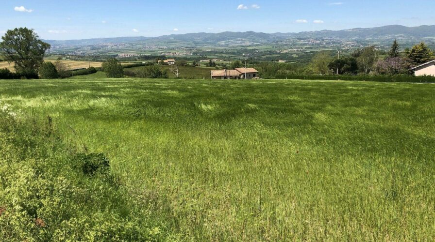 Vente Châteauneuf