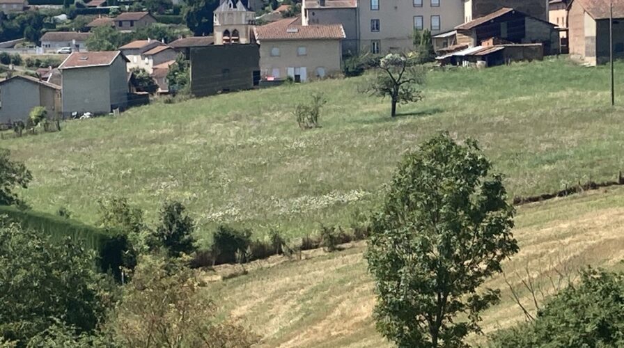 Vente Brussieu