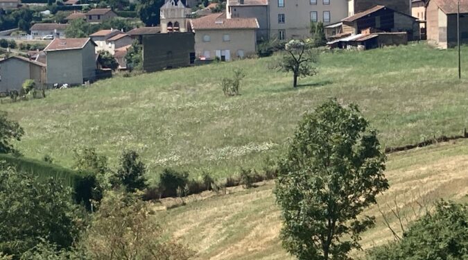 Vente Brussieu