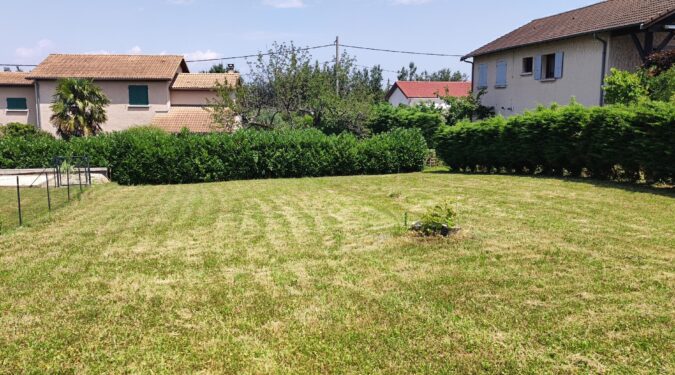 Vente Vienne