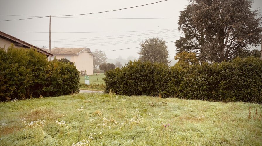 Vente Thoissey