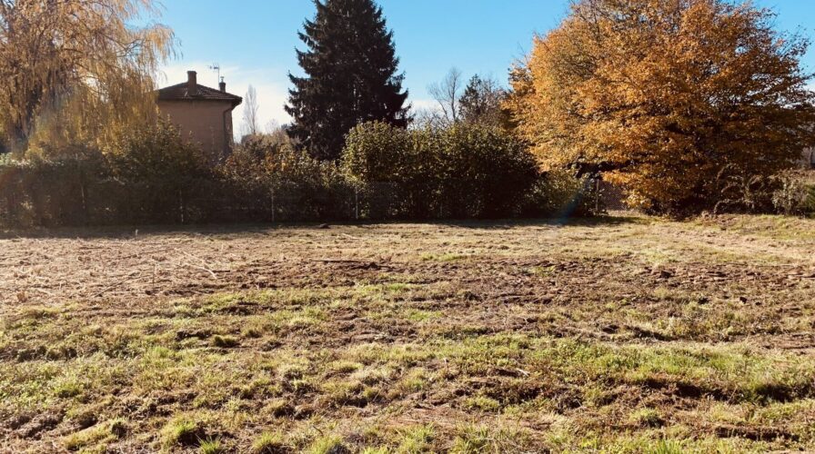 Vente Romanèche-Thorins