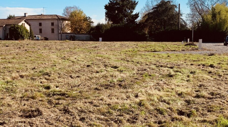 Vente Romanèche-Thorins