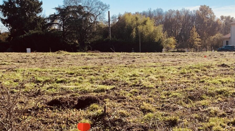 Vente Romanèche-Thorins