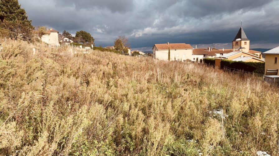 Vente Pontcharra-sur-Turdine