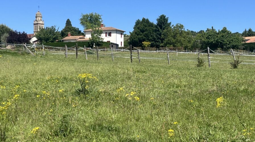 Vente Les Côtes-d&rsquo;Arey